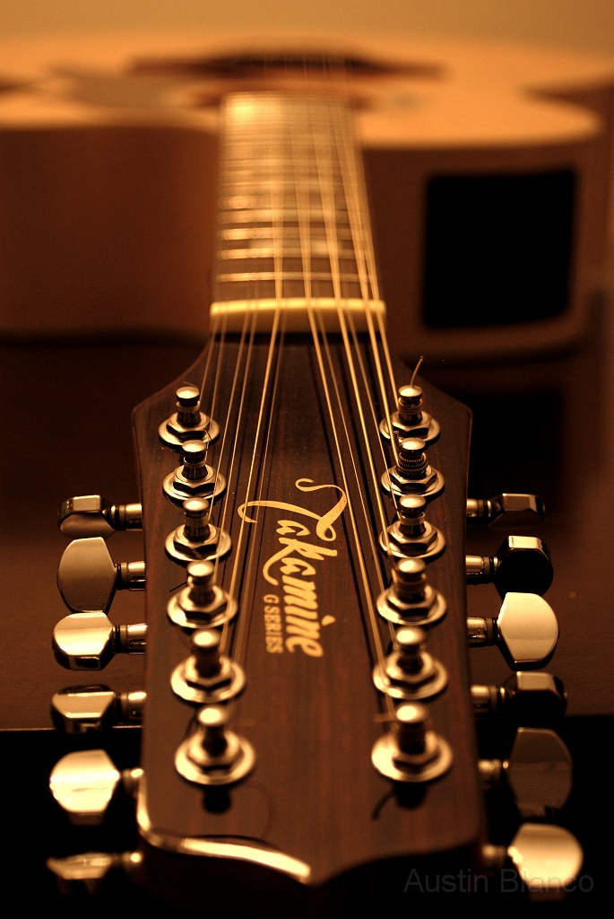 12 String 006.jpg